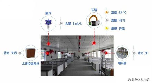 生猪养殖场的智能监控与控制系统集成应用探讨